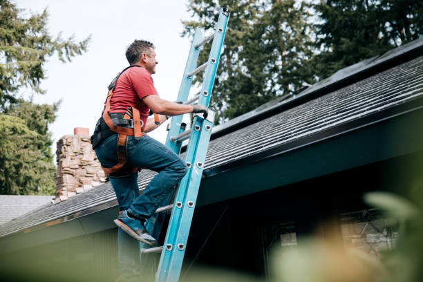 Best Roof Maintenance and Cleaning  in Plano, IL